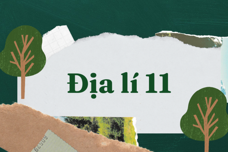 Địa lý 11