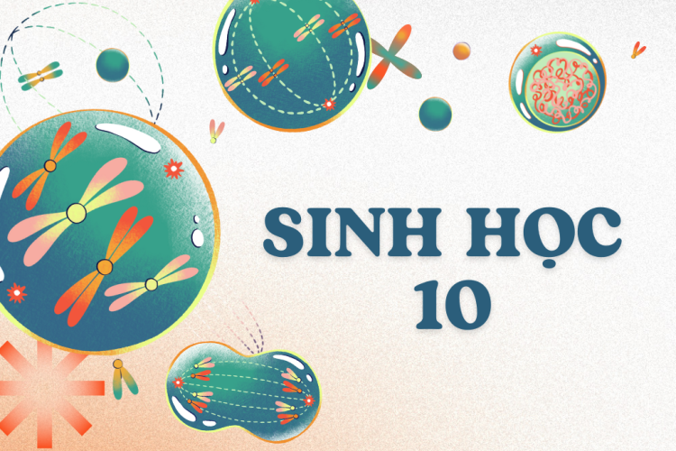 Sinh học 10