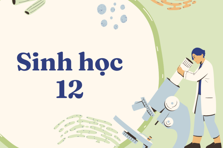 Sinh học 12