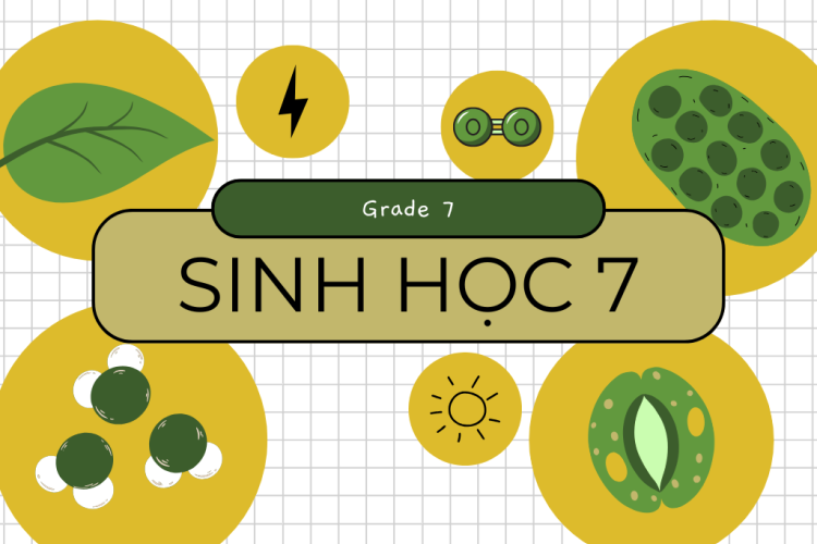 Sinh học 7