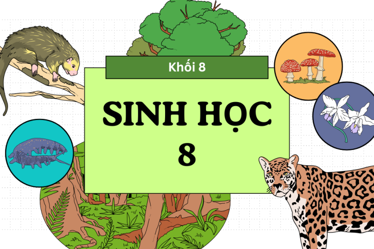 Sinh Học 8